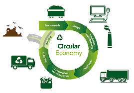 How Recycling Supports a Circular Economy
